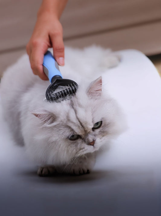 dc89d09a-ae6d-4f60-8546-abc93e5b7f84-Max