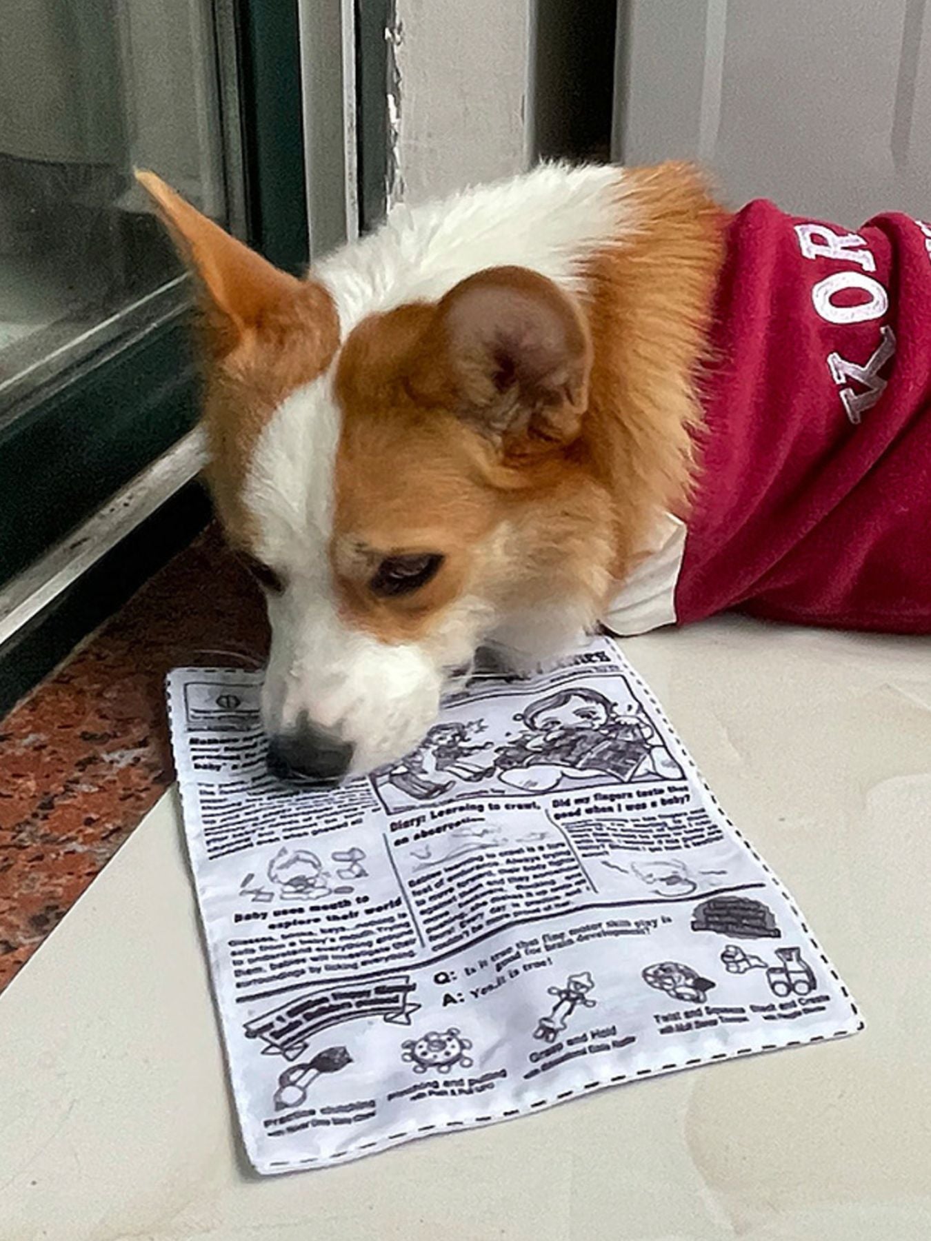 dd5232b9-c336-49f6-89cb-ba67c2220048-Max