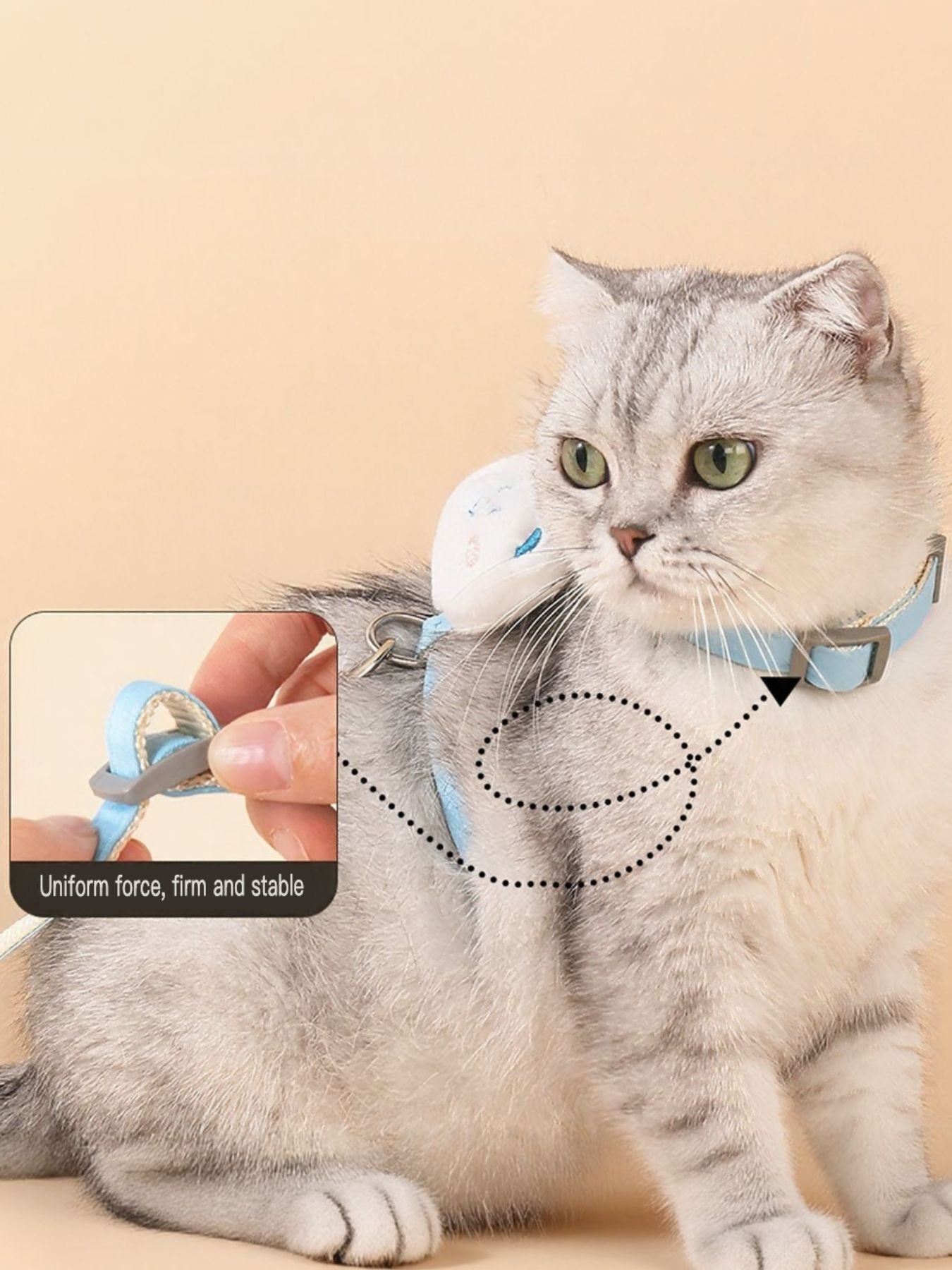 ddb52295-f969-454a-8109-88eac312be9c-Max