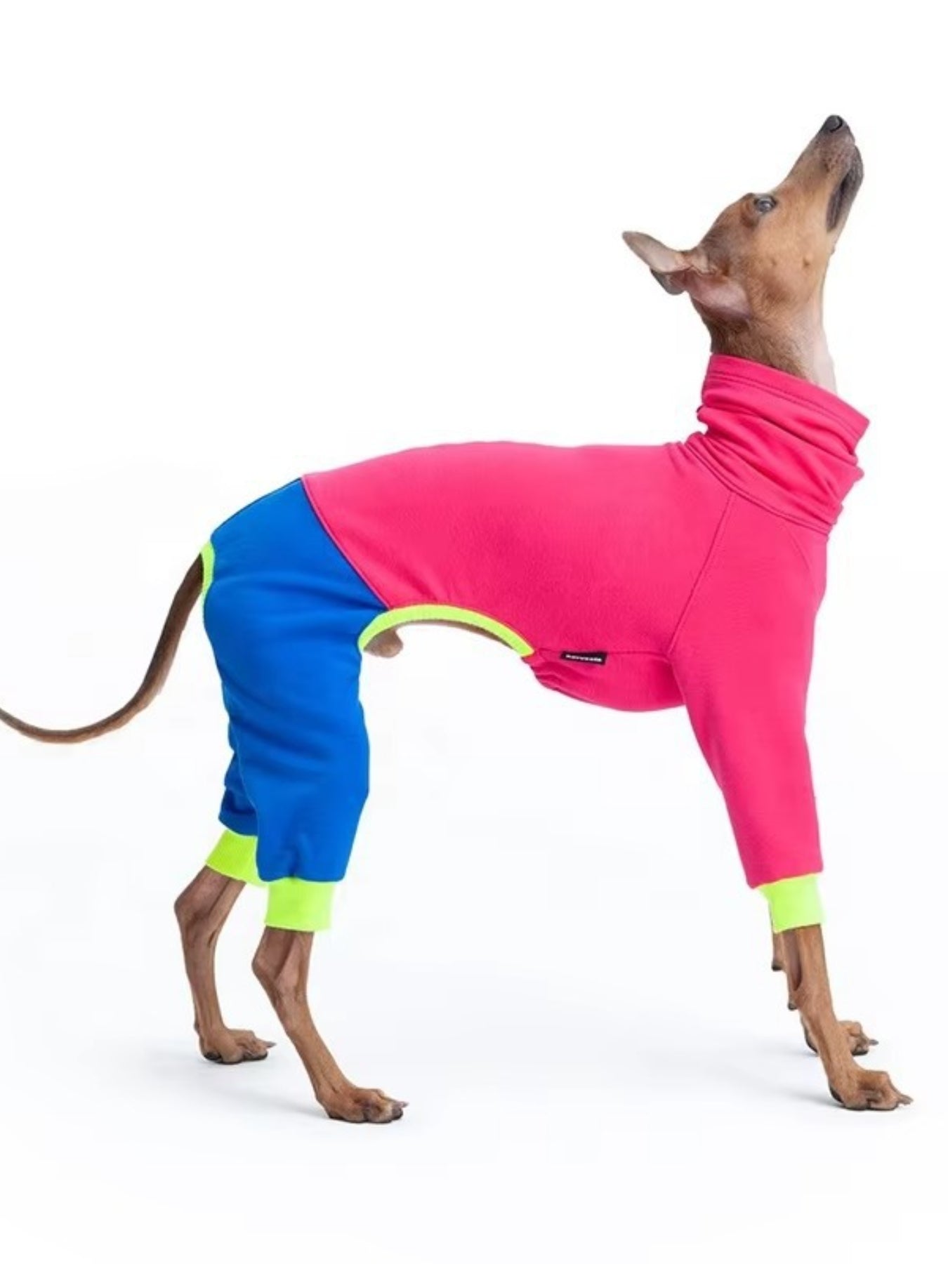 df45a8d3-d3db-40c6-ab81-e618a0cb9c84-Max