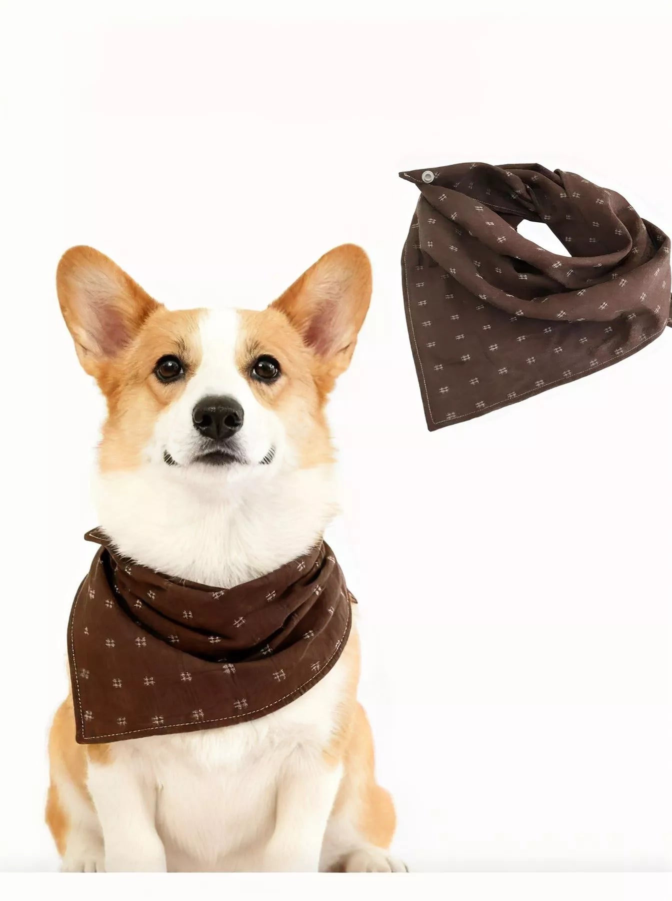 e02d4485-e4a9-4f5c-959e-e5000bfc5ade-Max-Origin