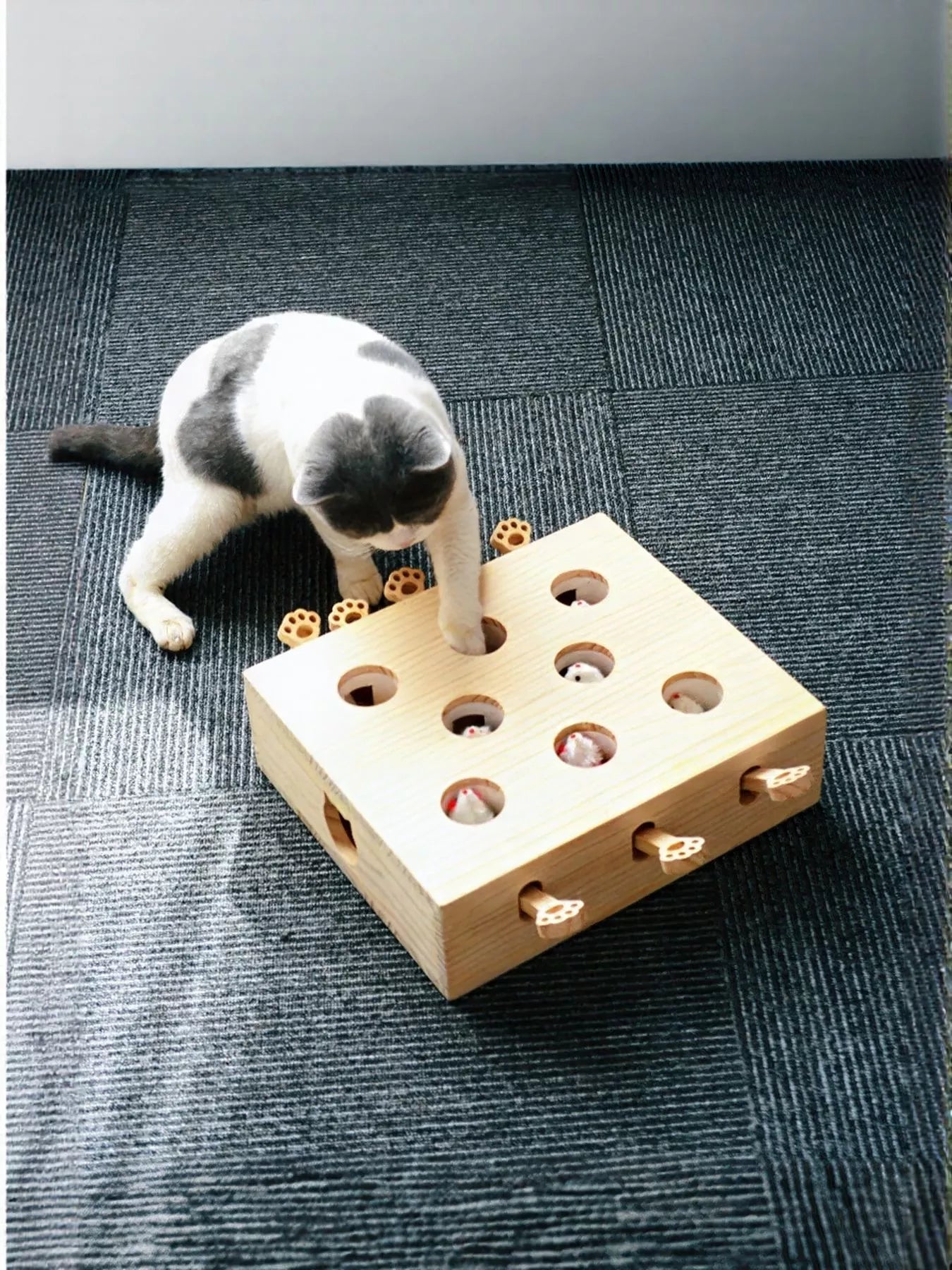 e079d57a-6018-4162-9649-2567a8657a63-Max-Origin