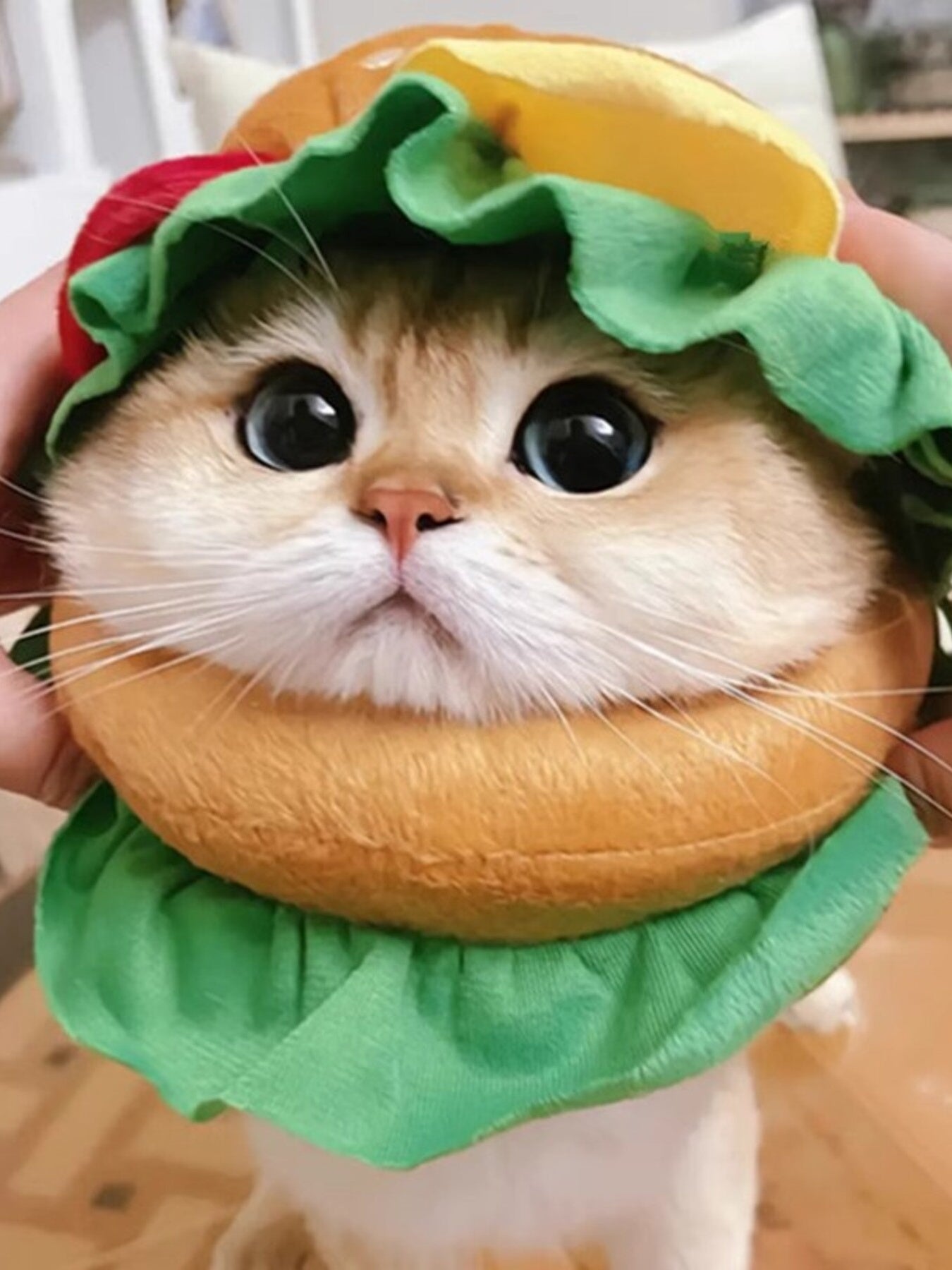 e28411679cc941d1a872e4a7e88e636a-Max