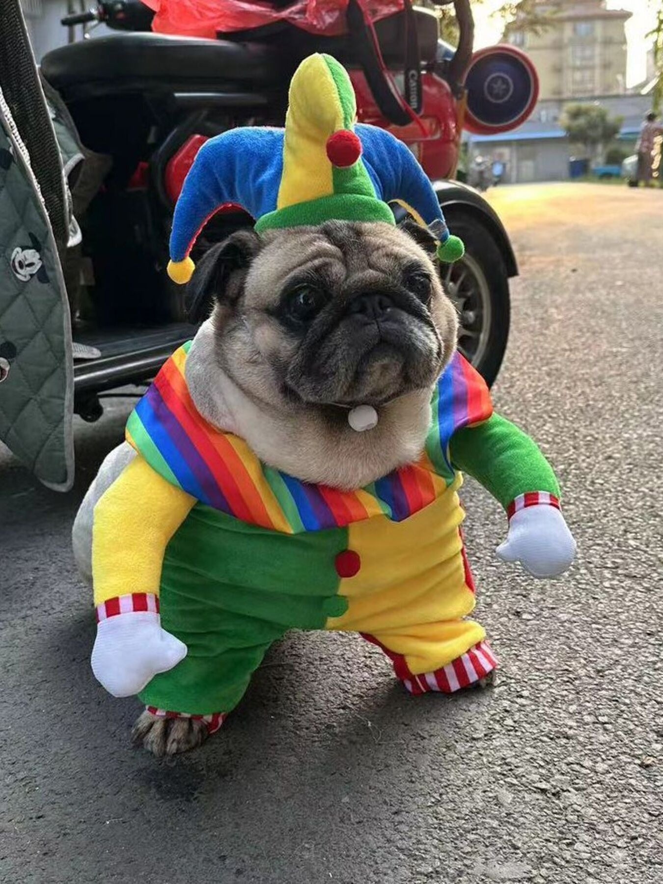 ea799acfa23b4235820ebdfa3783b72f-Max