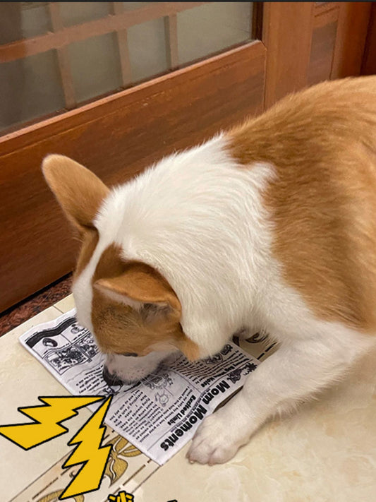 eaedc8a5-a20e-413d-b9a4-313a9cbb0b33-Max