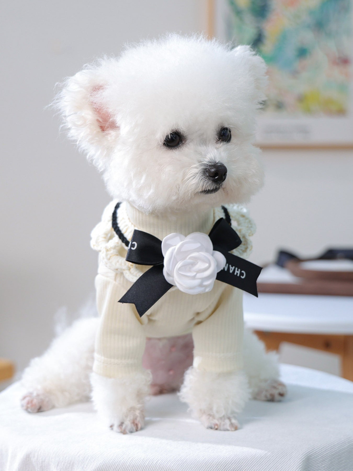 f277f63a-17f8-4320-9e41-6fbff191619d-Max