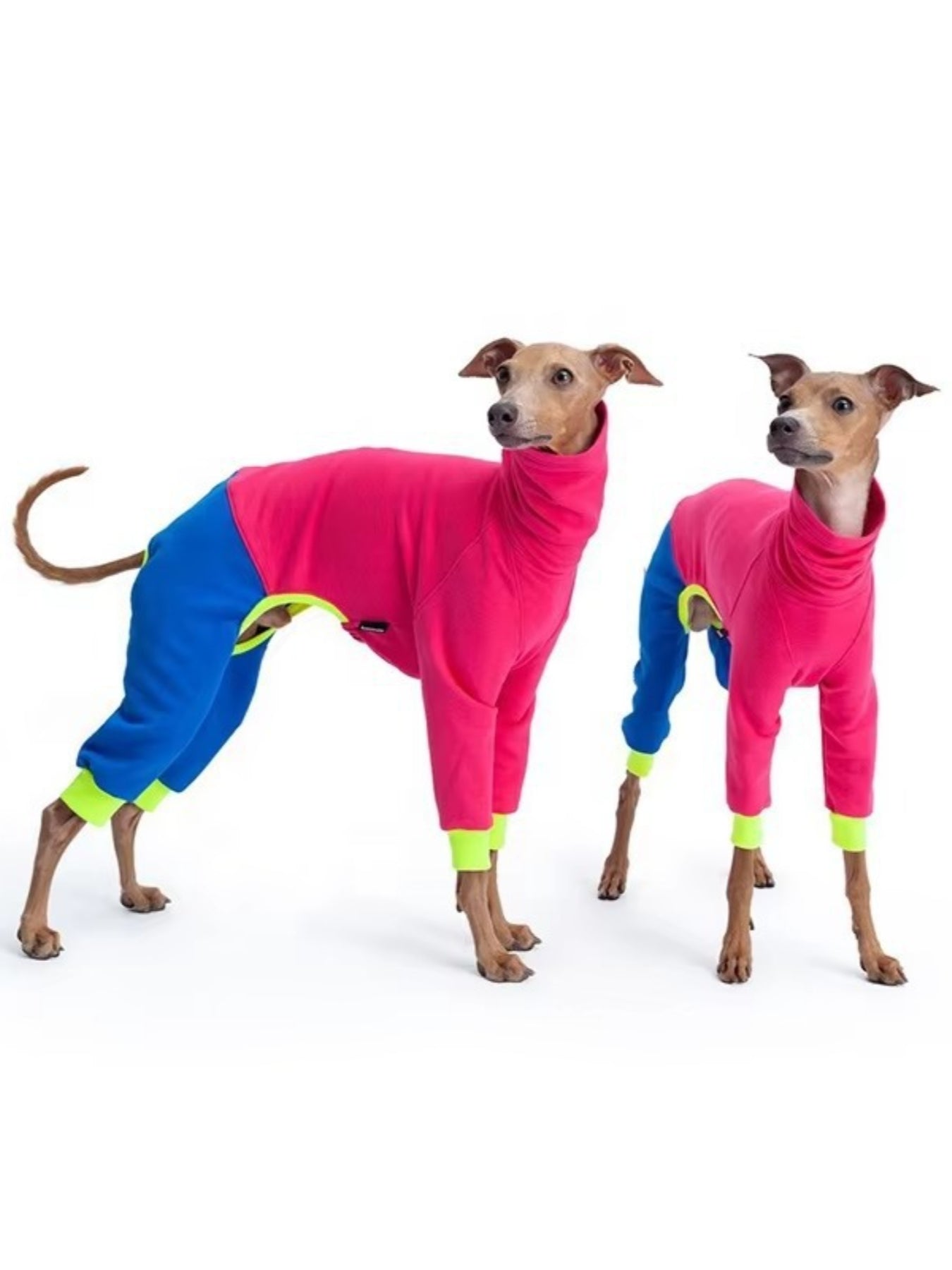 f68b51d7-411f-4aea-a6d1-613c0c5881f4-Max