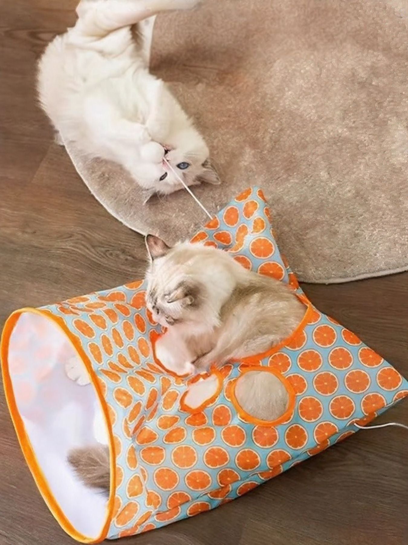 f79b43f2-7f1d-47db-b62c-21e0ce438556-Max