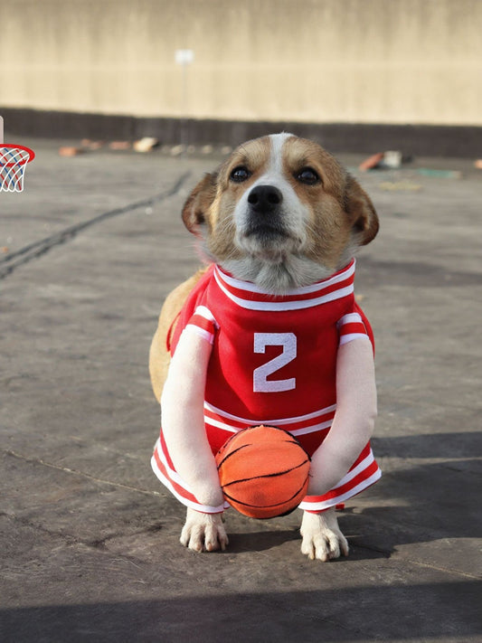 f7df85a0-2459-4171-ba18-214d1e8ff2dd-Max