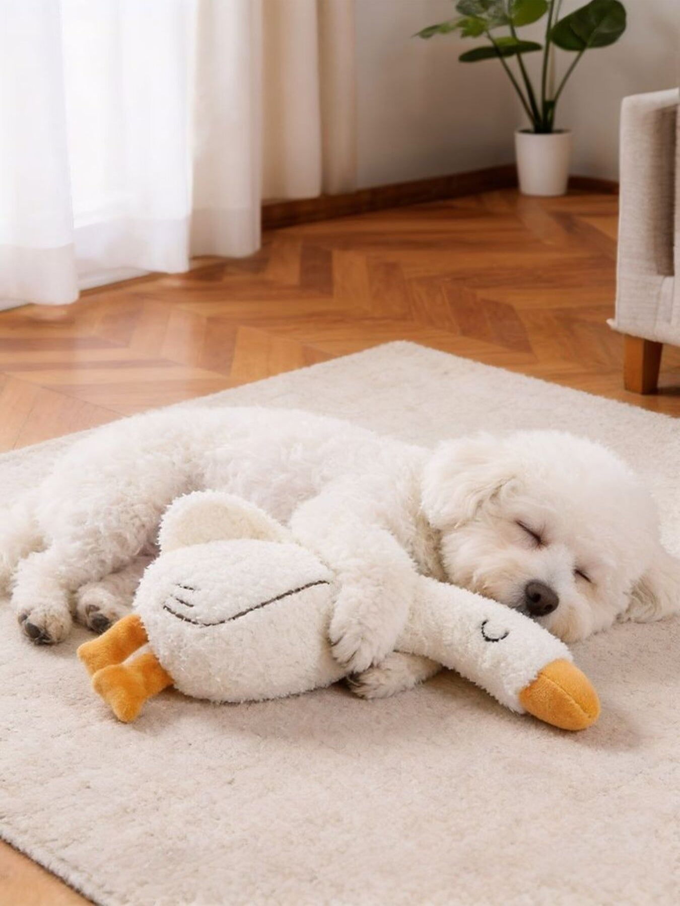 fb9f621e049e4ef5b493fabe4722345e-Max