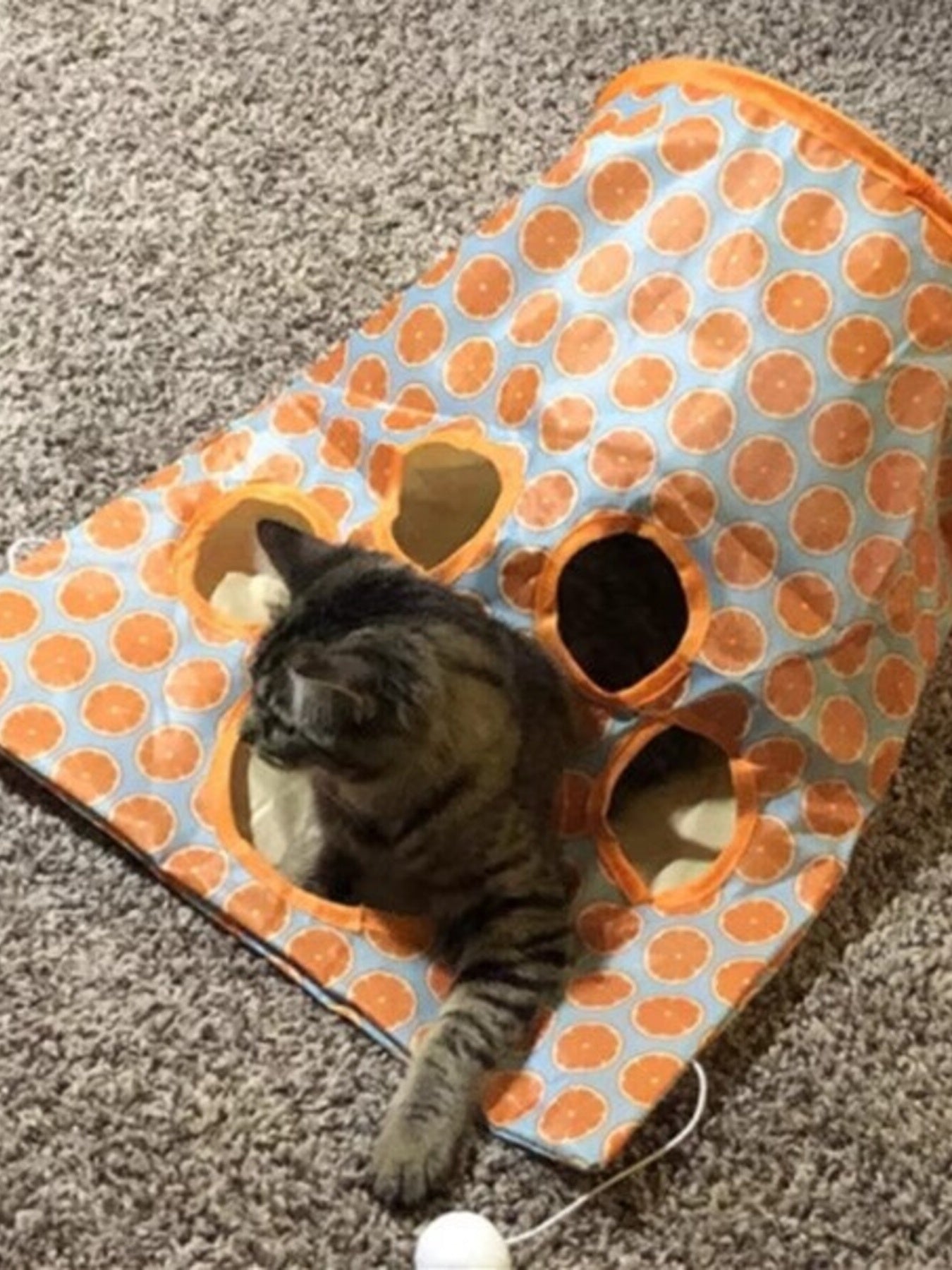 fcb67c5646ad4984979f69aa187c1c6f-Max