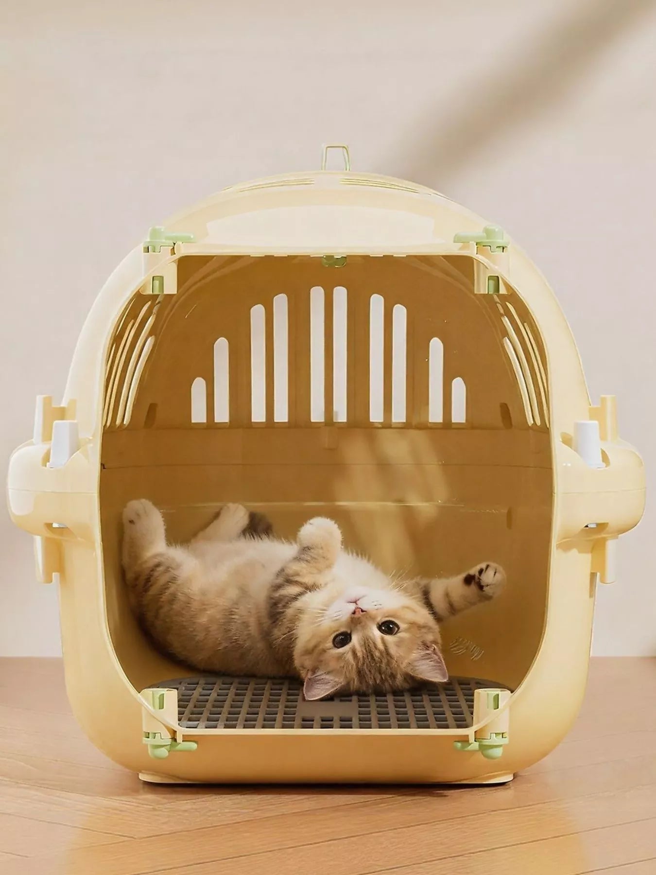 ff16f45a-f2cc-4490-8a75-c1c99ed067b7-Max-Origin