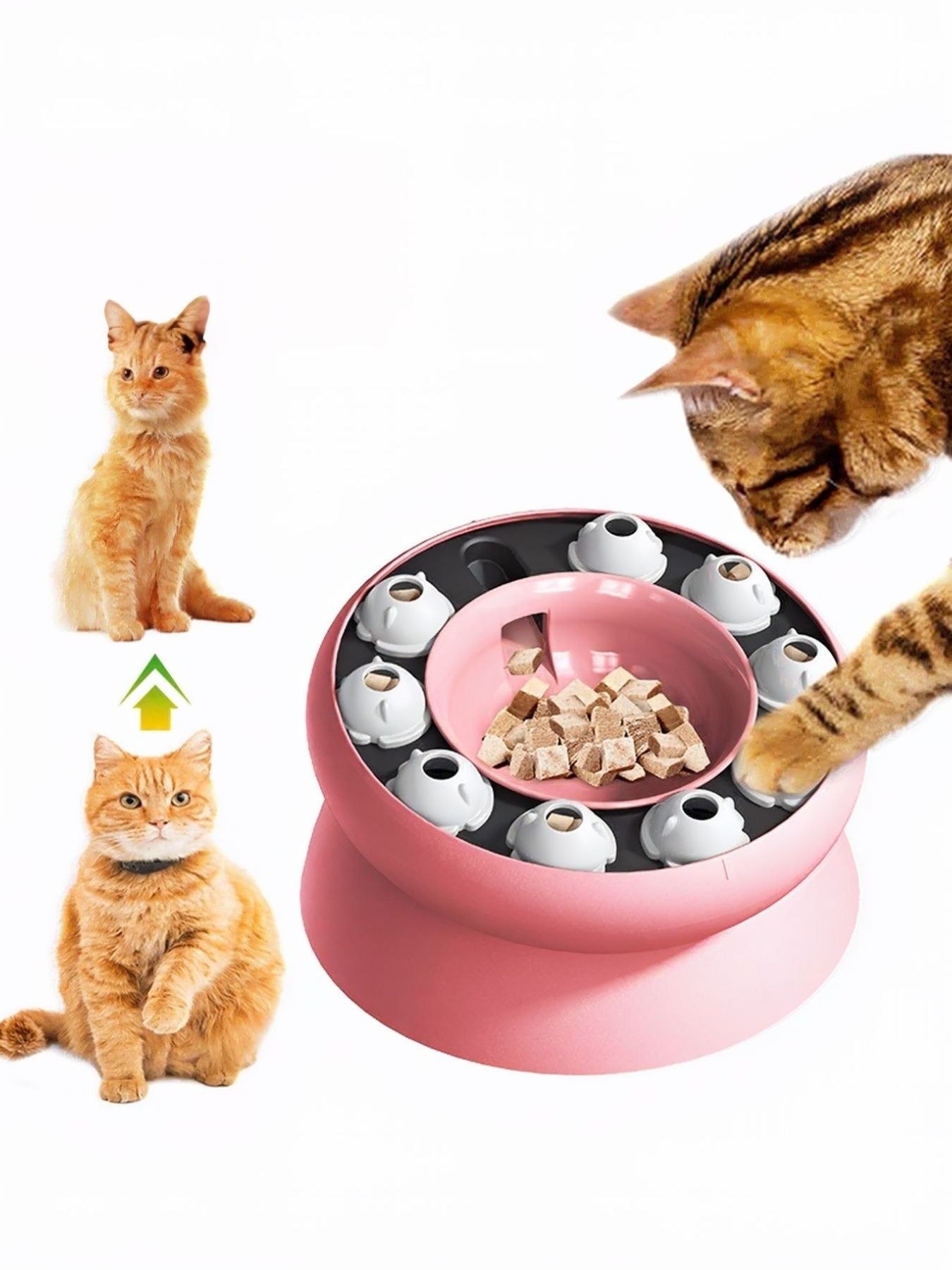 ff20ae40-c657-411b-b187-77e4b511c6f4-Max