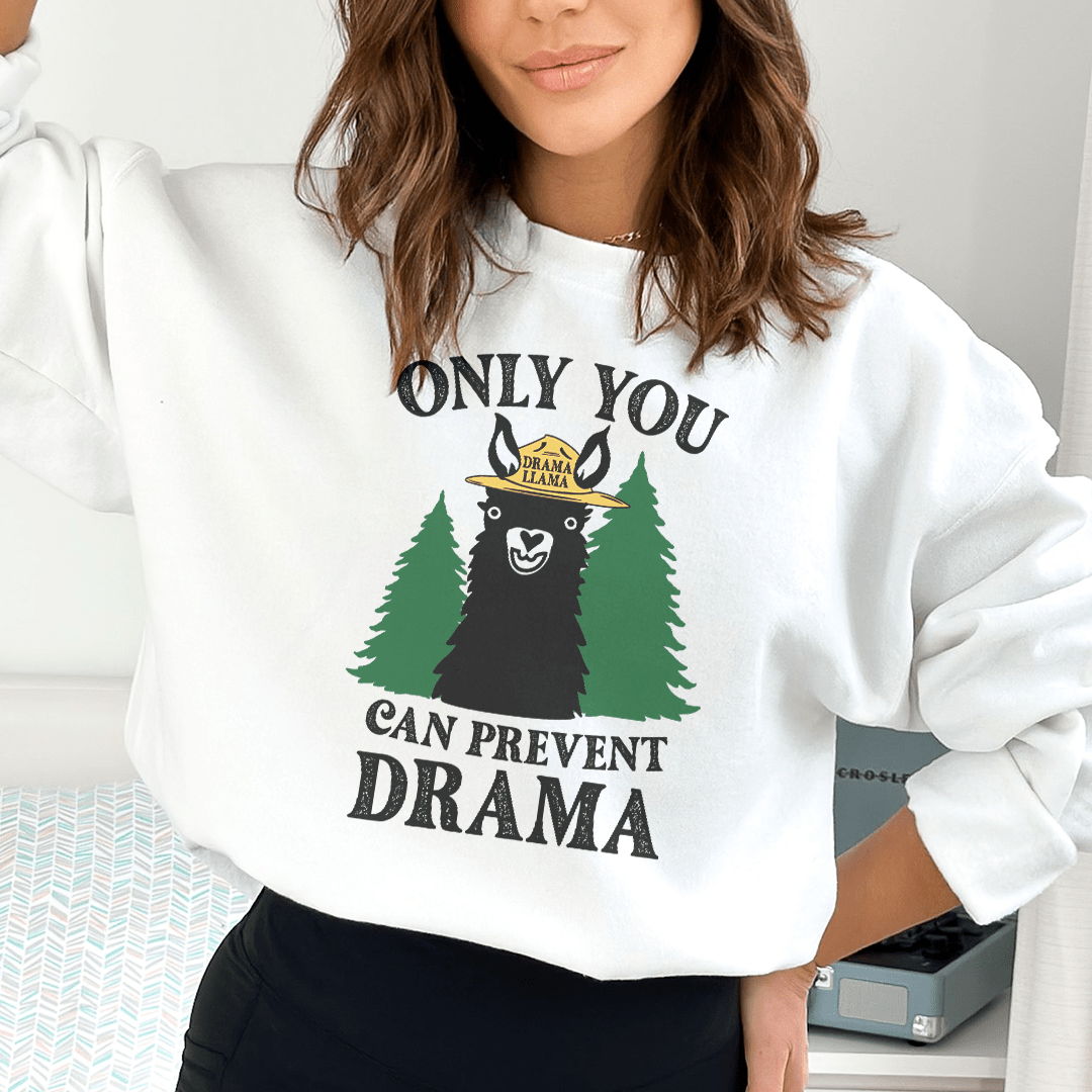 Only You Can Prevent Drama-3