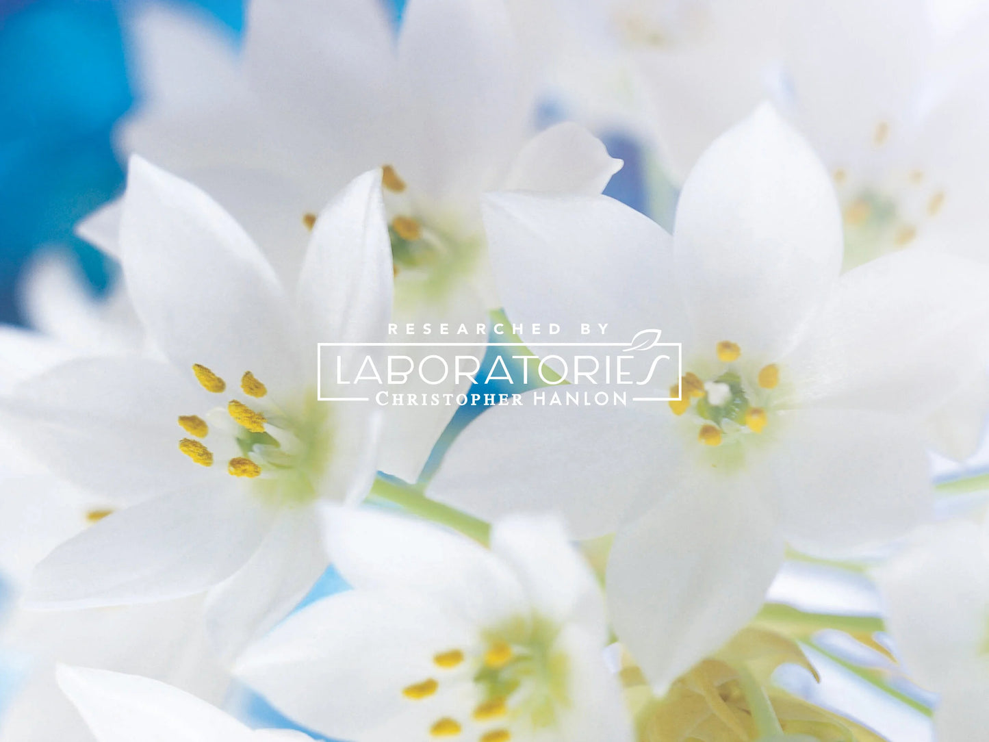 Australian Goat Milk Luxury Shampoo with Kangaroo Honey Tea Tree Oils Body and Hair Cleanse-3