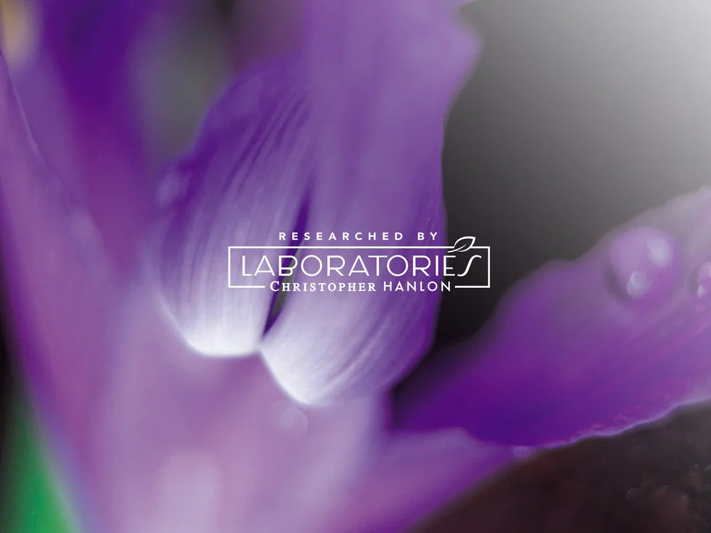 Rosemary Lemon Hand Wash Hand Balm Luxury Gift Set Australian Plant Extracts Aromatherapy Skincare Set